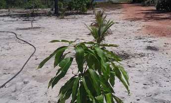 Imagem 7: Vendo ou troco chácara na beira do lago próximo a Palmas.
