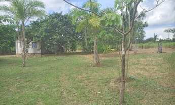 Imagem 3: VENDO CHÁCARA !