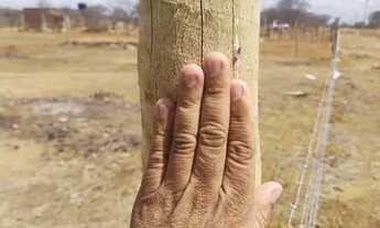 Imagem 2: Terreno 20x100 sítio Angical próx a ponta da serra