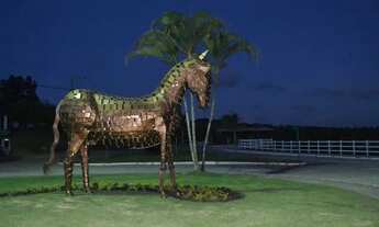 Imagem 6: Lote no Condomínio Haras Residence