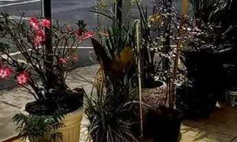 Imagem 6: Excelente residência