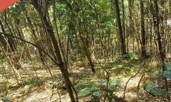 Imagem 2: Terreno 3.600m², topog. 70% declive leve, 20% declive médio, 10% acentuado, 30 min da Capi