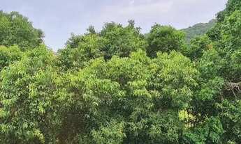 Imagem: Para morar pertinho da praia em condomínio