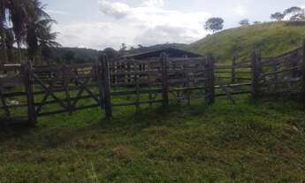 Imagem 5: Fazenda de bom padrão em Catu - Região de Gravito - não muito distante do centro da Cidade