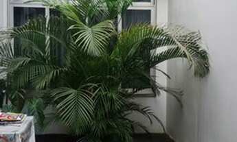 Imagem 3: Casa no Planalto Paulista com