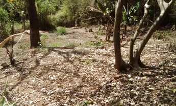 Imagem 7: Marimbá - Sítio de 8.000m² - R$690.000,00 - Aceita imóveis