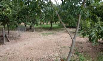 Imagem: Terreno em Condomínio Fechado de Chácaras