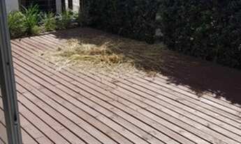 Imagem 4: ALUGUEL DE VERÃO (diária