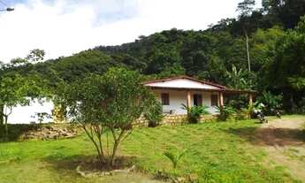 Imagem: Sitiy- 2,5 tarefas