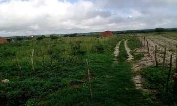 Imagem 5: Terreno/chácara