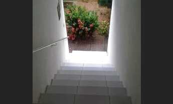 Imagem 6: Prive Pau Amarelo