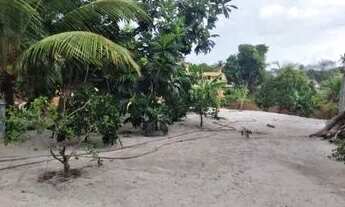 Imagem 2: Vendo sítio Chácara com venda por R$165.000