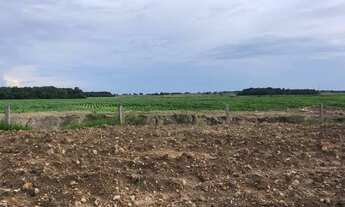 Imagem 4: Fazenda à venda em Tocantins 624 Alqueiros direto com proprietário