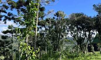 Imagem 5: CABANA E SÍTIO 4 HECTARES EM MEIO A NATUREZA E VALES EM URUBICI PARA VENDA!!!