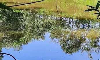Imagem 6: Vendo lindo sítio em Araçoiaba da Serra SP bairro Jundiacanga