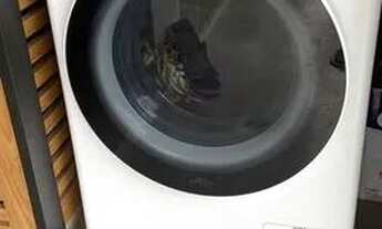 Imagem 7: Locação Apartamento Sao Paulo Vila Mariana Ref: 24457