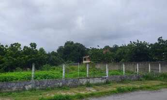 Imagem 3: Terreno Comercial em frente a Maple Bear