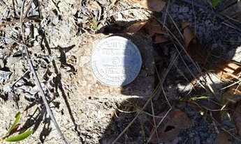 Imagem 3: Fazenda Goiás área pra Reserva