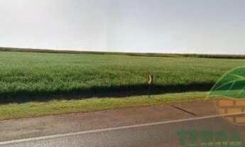 Imagem 4: Terreno à venda 1 Quarto, 14000M², Área Rural de Cambé, Cambé - PR