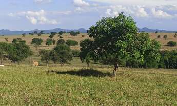 Imagem 3: Fazenda 113 alqueires plantando 50 alqueires em Ipora-GO