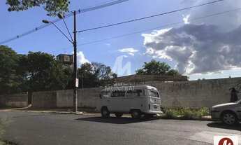 Imagem 2: Terreno (terreno normal