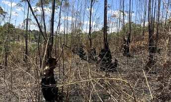 Imagem 2: Terreno de 500m² à Venda em Ibiúna com Preço Promocional