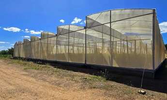 Imagem 3: AREA RURAL - HIDROLANDIA-GO Área / Terreno à Venda, 50000.00 por R$ 850000.00 no setor Zon