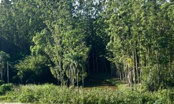 Imagem 7: Oportunidade em Cotia Terreno de 500m² em Área Verde