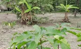 Imagem 4: CHÁCARA ESCRITURADA