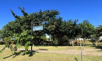 Imagem 4: Terreno em Cravinhos