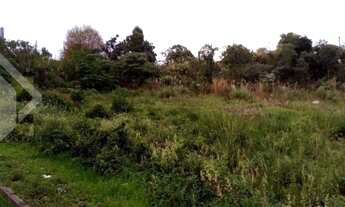 Imagem 3: Terreno no bairro Charqueadas