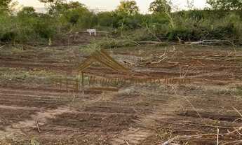 Imagem 4: Fazenda à venda com 2.150 hectares na região Januária-MG
