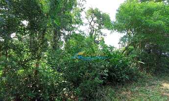 Imagem 4: Chácara à venda, 13000 m² por R$ 120.000,00 - São José - Corbelia/PR