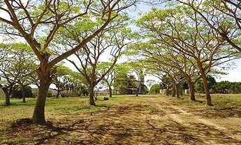 Imagem: Lotes com 200m² em Conceição da Feira