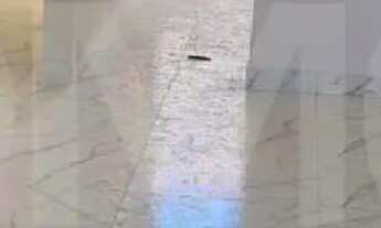 Imagem 3: José de Castro Casa com 3 dormitórios