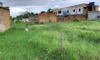 Imagem 3: TERRENO COM CASA BOM DE JESUS