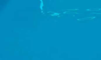 Imagem 7: Aluguel Pousada / chalé com 2 dormitórios