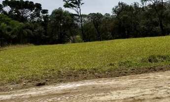 Imagem 3: Oportunidade Única no Recanto Ipê Terreno à Venda