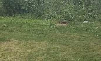 Imagem 6: Casa no pilar , rua do salão de festas stylos