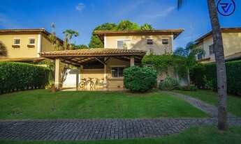 Imagem 2: Onde o Verde é Protagonista