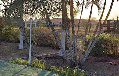 Imagem 6: SITIO LOCALIZADO EM SERRINHA-BA, NA ZONA RURAL DO TANQUE GRANDE