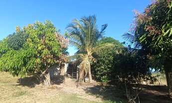 Imagem 7: Sítio à Venda na Área Rural de Moita Bonita/SE