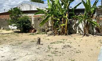 Imagem 4: Vende-se casa em tibiri