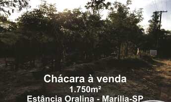 Imagem 3: VENDE-SE Chácara / Sítio NO PADRE NÓBREGA (CENTRO) - MARÍLIA/SP