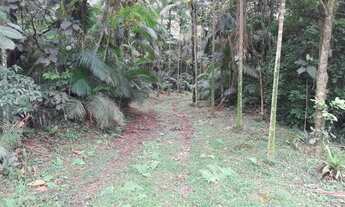 Imagem 4: Sítio à venda em Joinville/SC