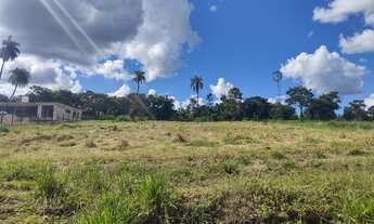 Imagem: Chácara para venda tem 2029 metros quadrados