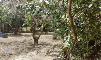 Imagem 6: Terreno à venda, 2600 m² por R$ 350.000 - 26 de Setembro - Brasília/Distrito Federal