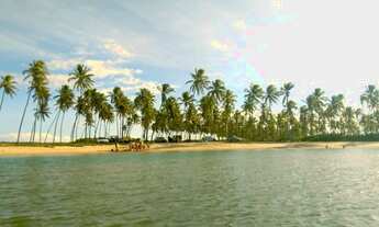 Imagem 7: Terreno Barra de Jacuípe - Orla Camaçari - 840m2 (Todo murado e com escritura