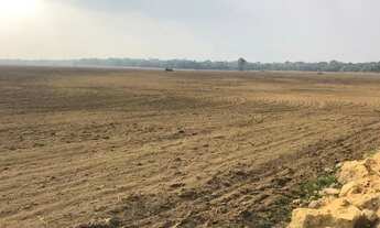 Imagem 5: Fazenda à venda em Tocantins 624 Alqueiros direto com proprietário