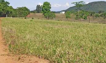 Imagem 5: Fazenda 113 alqueires plantando 50 alqueires em Ipora-GO